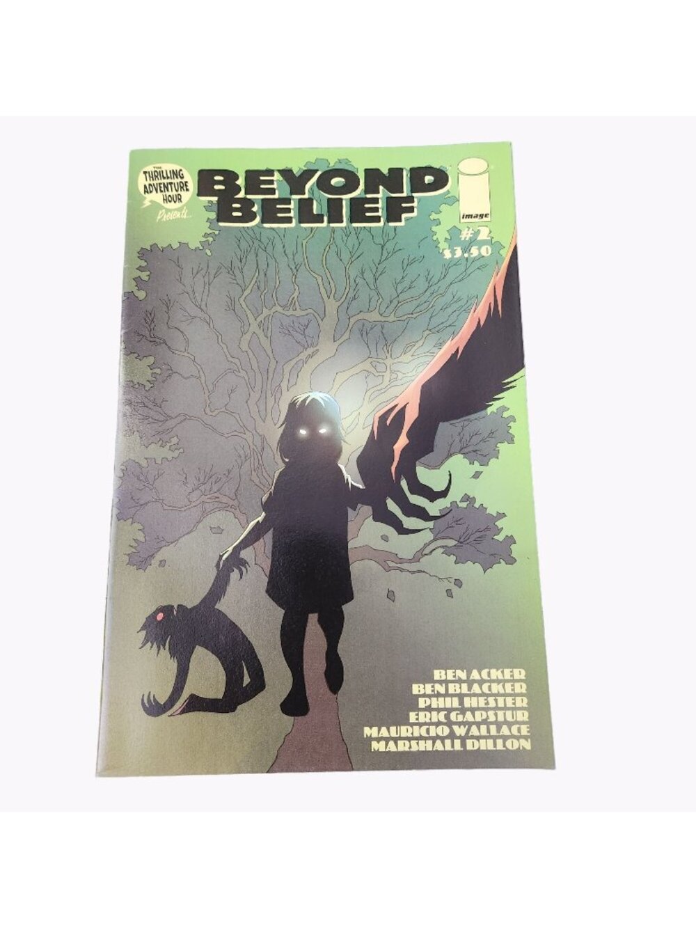 Image Beyond Belief #2 Comic Book Collector Bagged Boarded